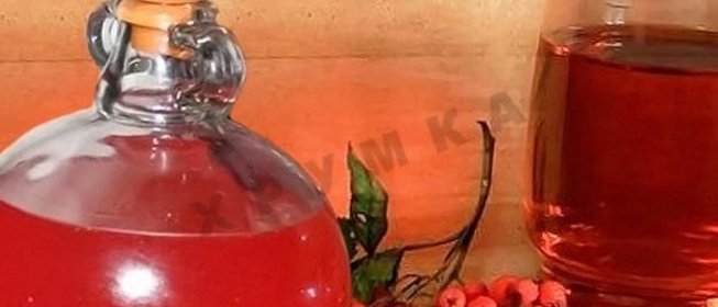 Домашнее вино из красной рябины