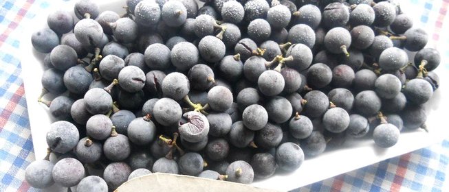 Замороженный виноград