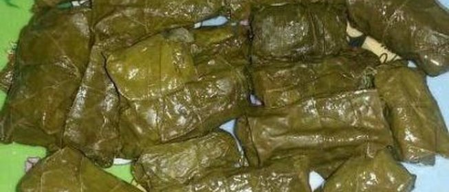 Долма из свежих виноградных листьев