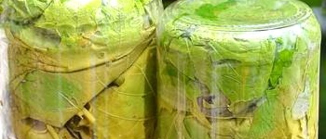 Маринованные виноградные листья для долмы