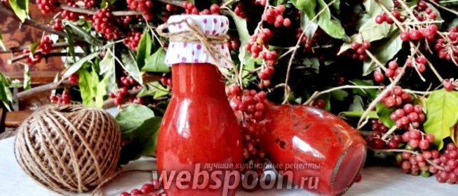Соус из красной облепихи