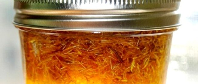 Варенье из одуванчиков без варки