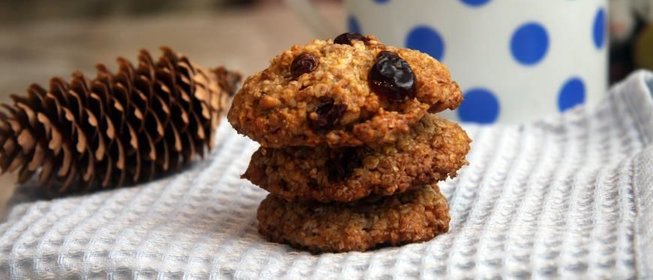 Овсяное печенье с пророщенной пшеницой и клюквой