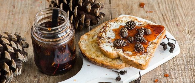 Варенье из сосновых шишек с мёдом