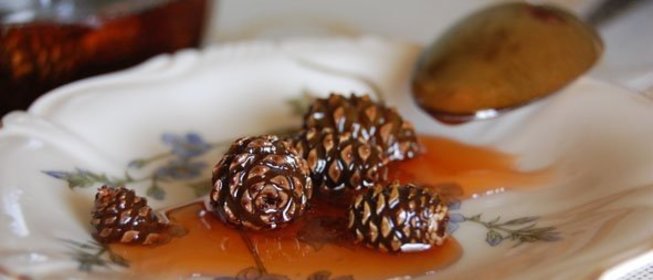 Варенье из сосновых шишек