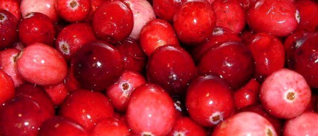 Варенье из клюквы без варки