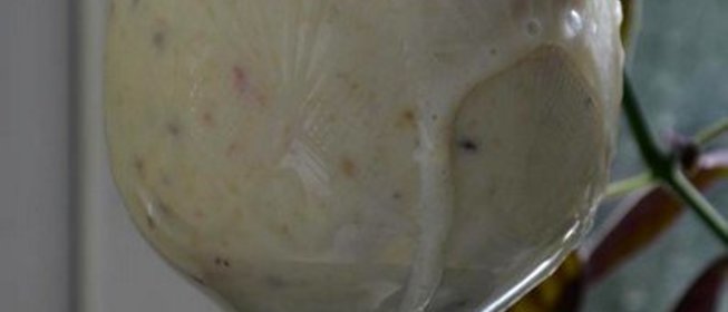 Коктейль молочный с бананом и крыжовником