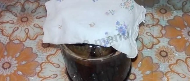 Закваска для кваса на березовом соке