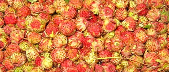 Варенье из луговой клубники