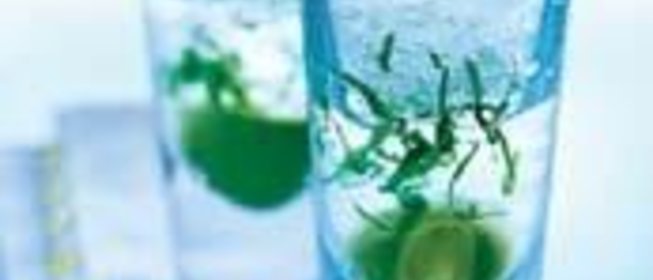 Коктейль Дыхание моря