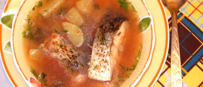 Уха из сазана