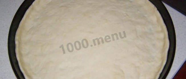 Дрожжевое тесто основа для пиццы в духовке
