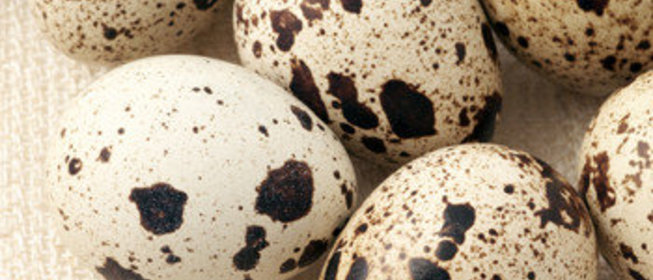 Шампиньоны с перепелиными яйцами