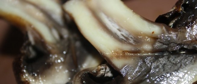 Шампиньоны с чесночным ароматом на мангале