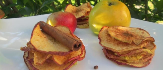 Сушеные яблоки с ароматом корицы
