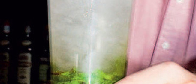 Коктейль «джин джулеп»