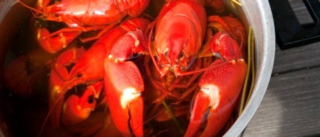 Вареные раки по‑польски