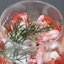 Порционный салат в креманках сыр яйца креветки помидоры