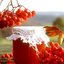 Варенье из лесной рябины