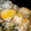 Соус из апельсинов к мясу