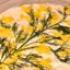 "Мимоза" с маслом и сыром
