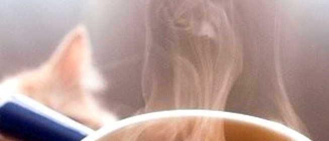 Рагу из чечевицы и белых грибов