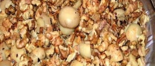 Грибной салат с сыром и чесночным соусом Ореховая сказка