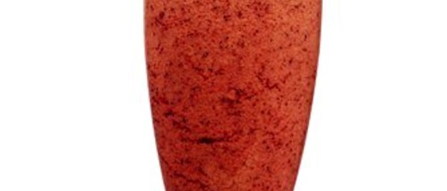 Черничный коктейль с имбирем и шампанским