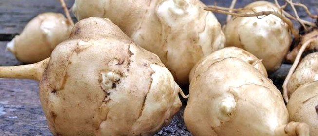 Повидло из топинамбура