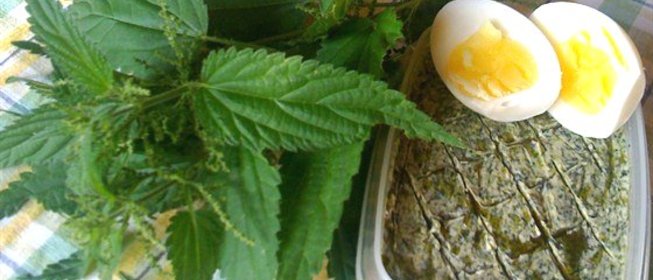 Масло крапивное