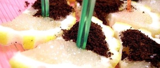 Лимонные ломтики с кофе