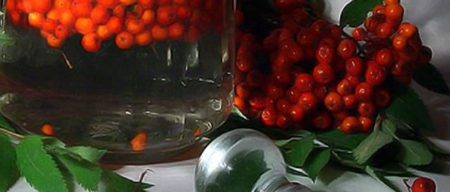 Рябиновая настойка из рябины на водке