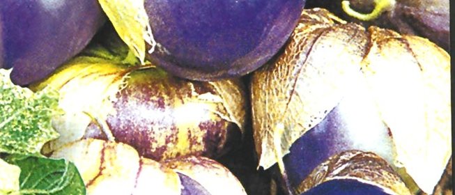 Варенье из сливового физалиса