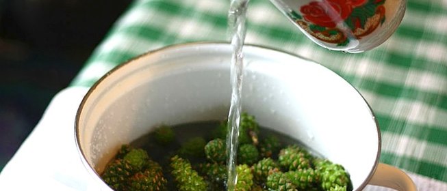 Варенье из сосновых почек