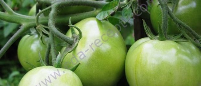 Варенье из зеленых помидоров