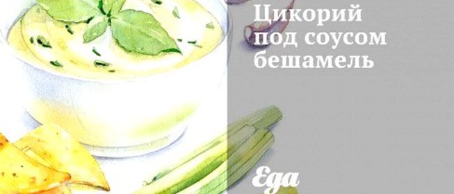 Цикорий под соусом бешамель