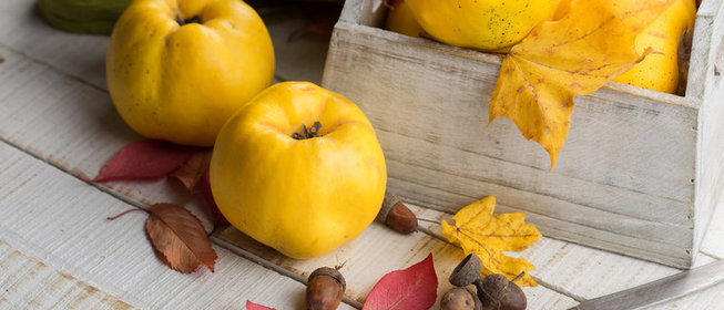 Все, что нужно знать об айве + рецепт джема