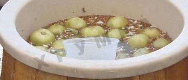 Бочковые зеленые помидоры с огурцами