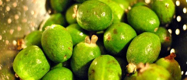 Варенье из фейхоа