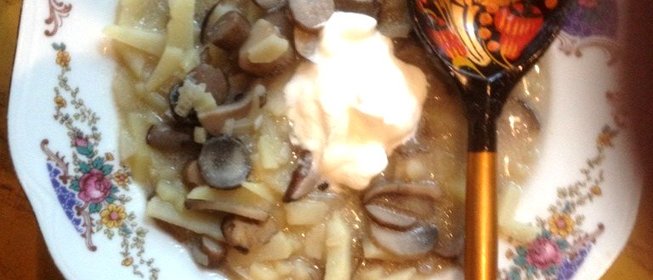 Солянка грибная