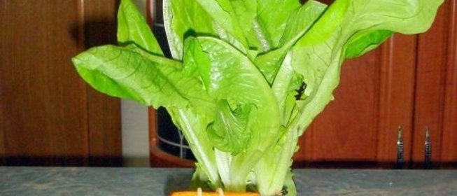 Картофельный колодец