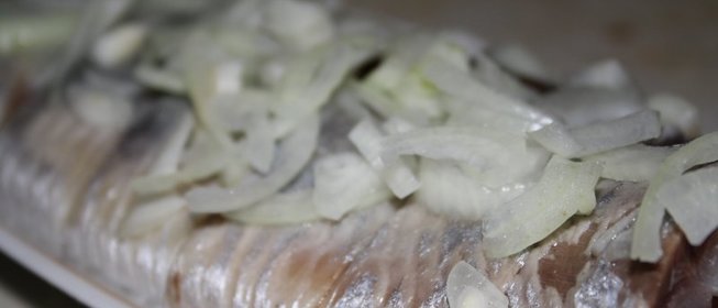 Сельдь с луком и уксусом