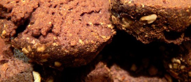 Шоколадно-миндальное печенье