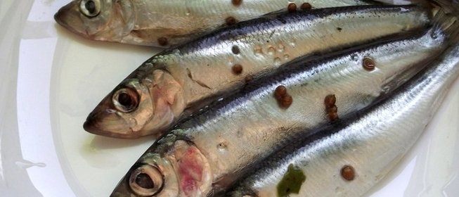 Салака пряного посола