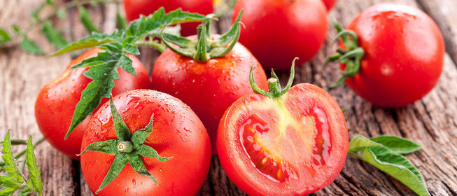 Все, что нужно знать о помидорах