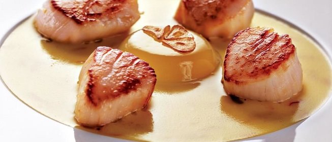 Морские гребешки с соусом из шафрана и желе из лайма