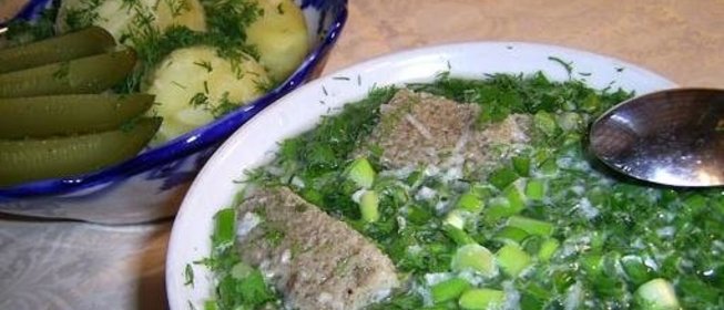 Тюри квасные