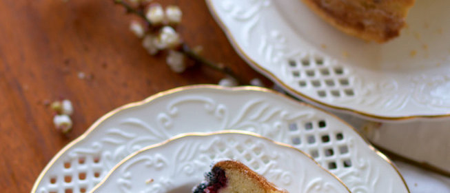 Бабка вишневая