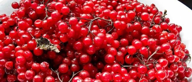 Калиновый сок