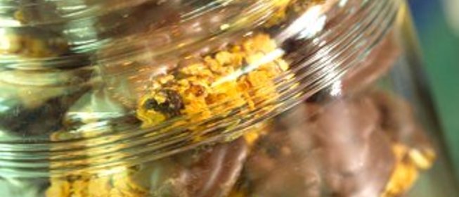 Печенье с вишней и имбирем в шоколаде (Florentines)